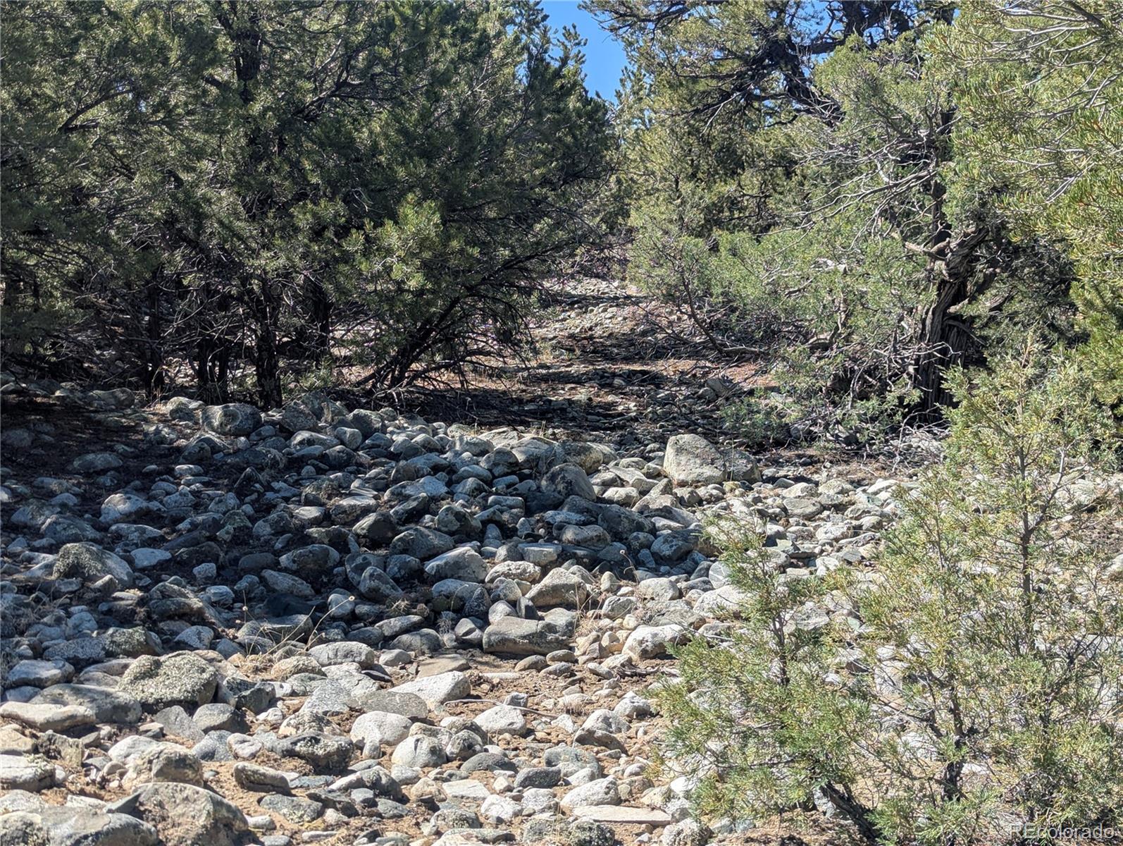 200 Mill Run Road Mosca CO 81146
