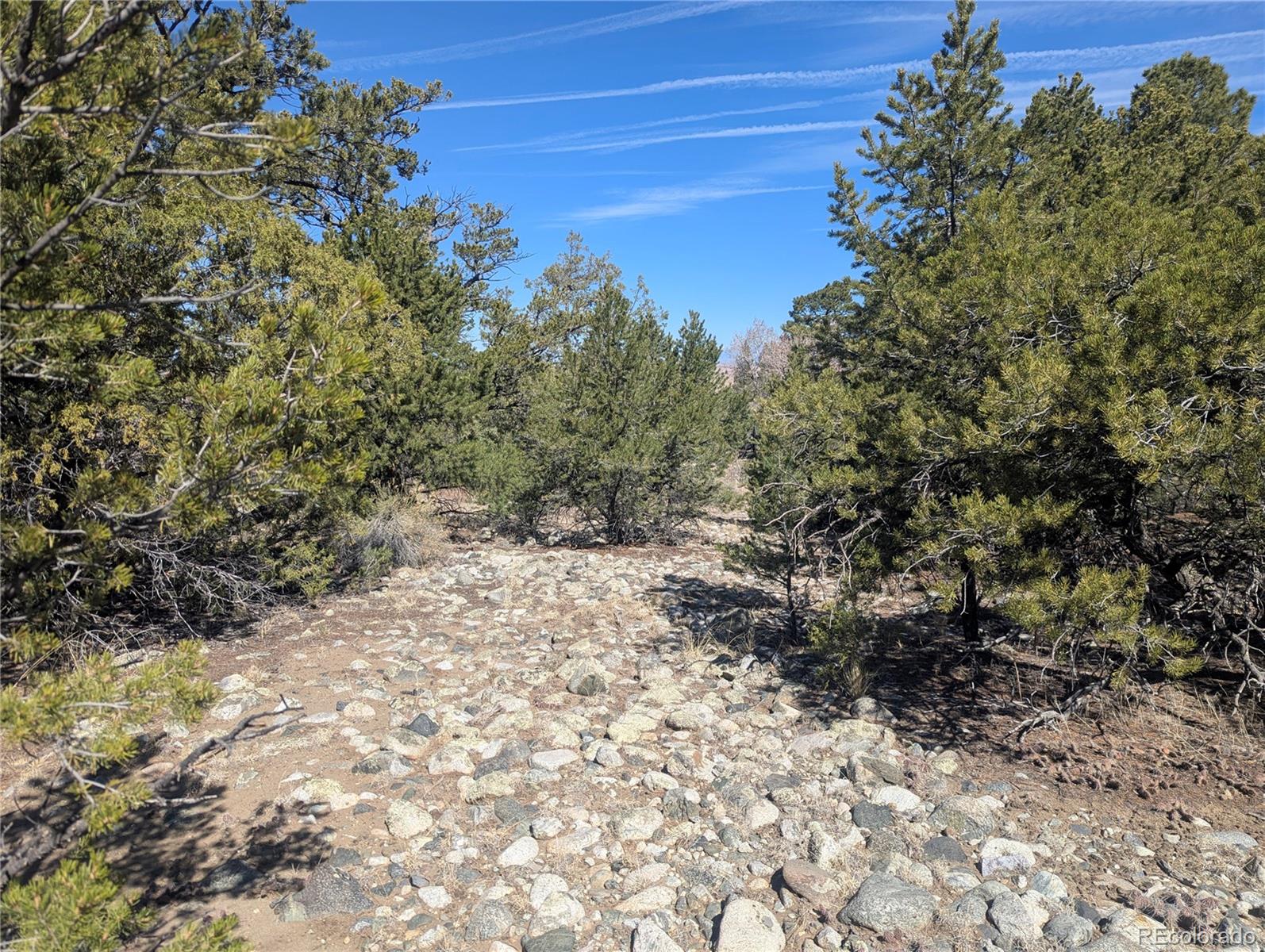 200 Mill Run Road Mosca CO 81146
