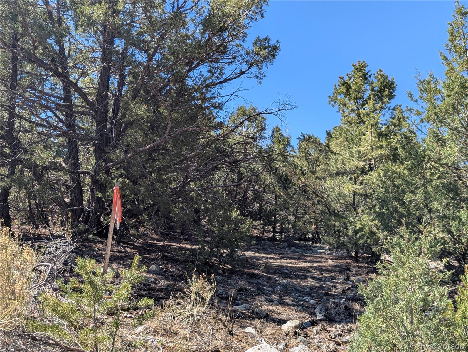 200 Mill Run Road Mosca CO 81146