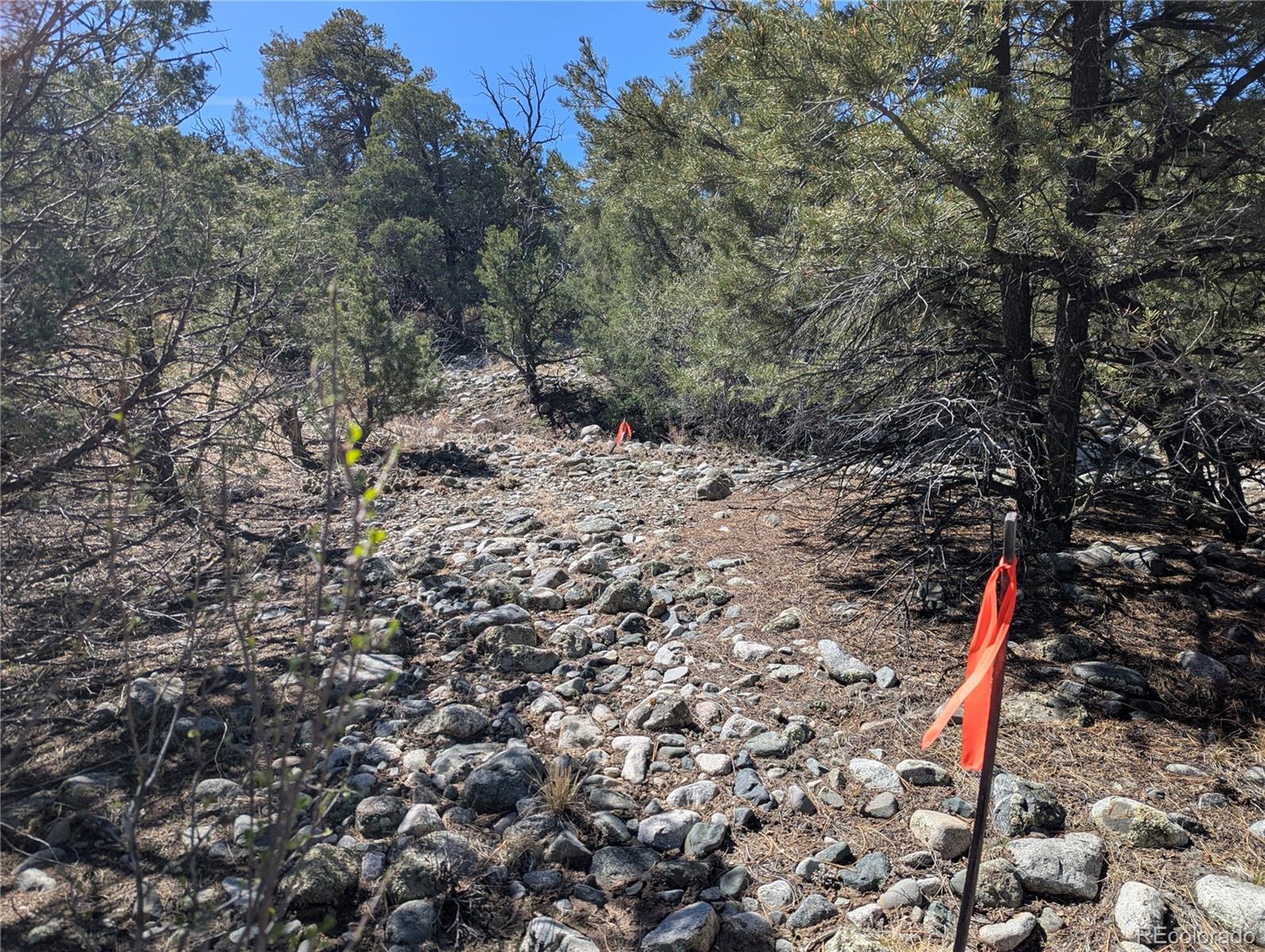 200 Mill Run Road Mosca CO 81146
