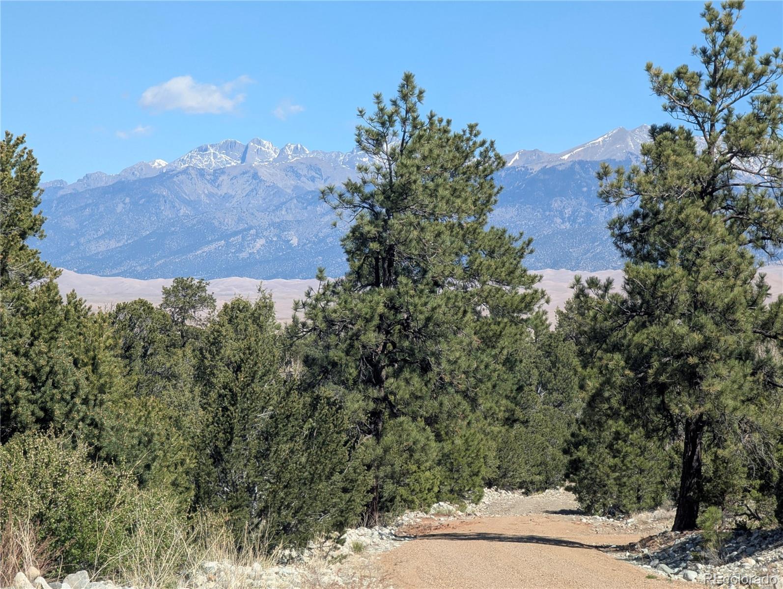 200 Mill Run Road Mosca CO 81146