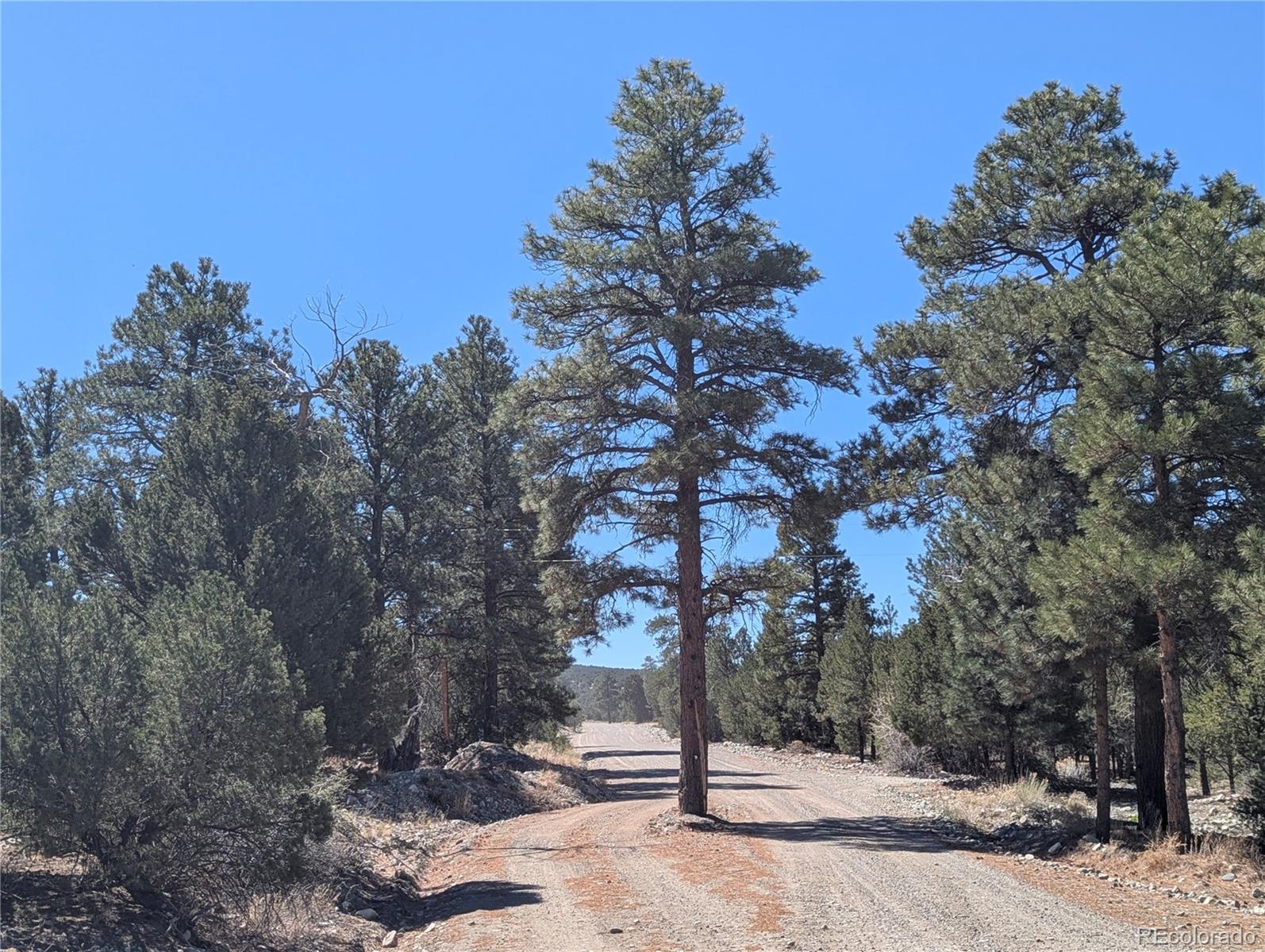 200 Mill Run Road Mosca CO 81146