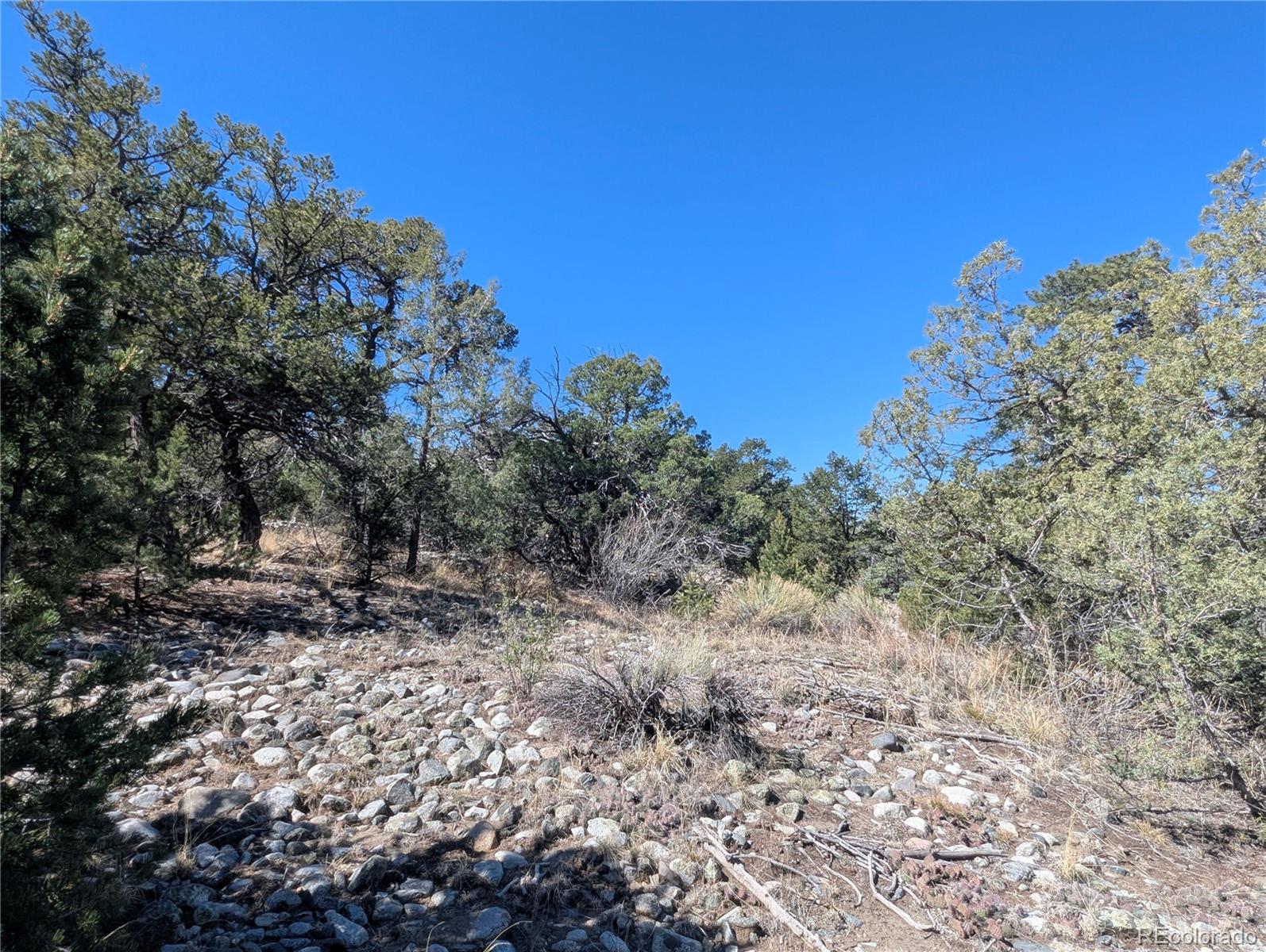 200 Mill Run Road Mosca CO 81146