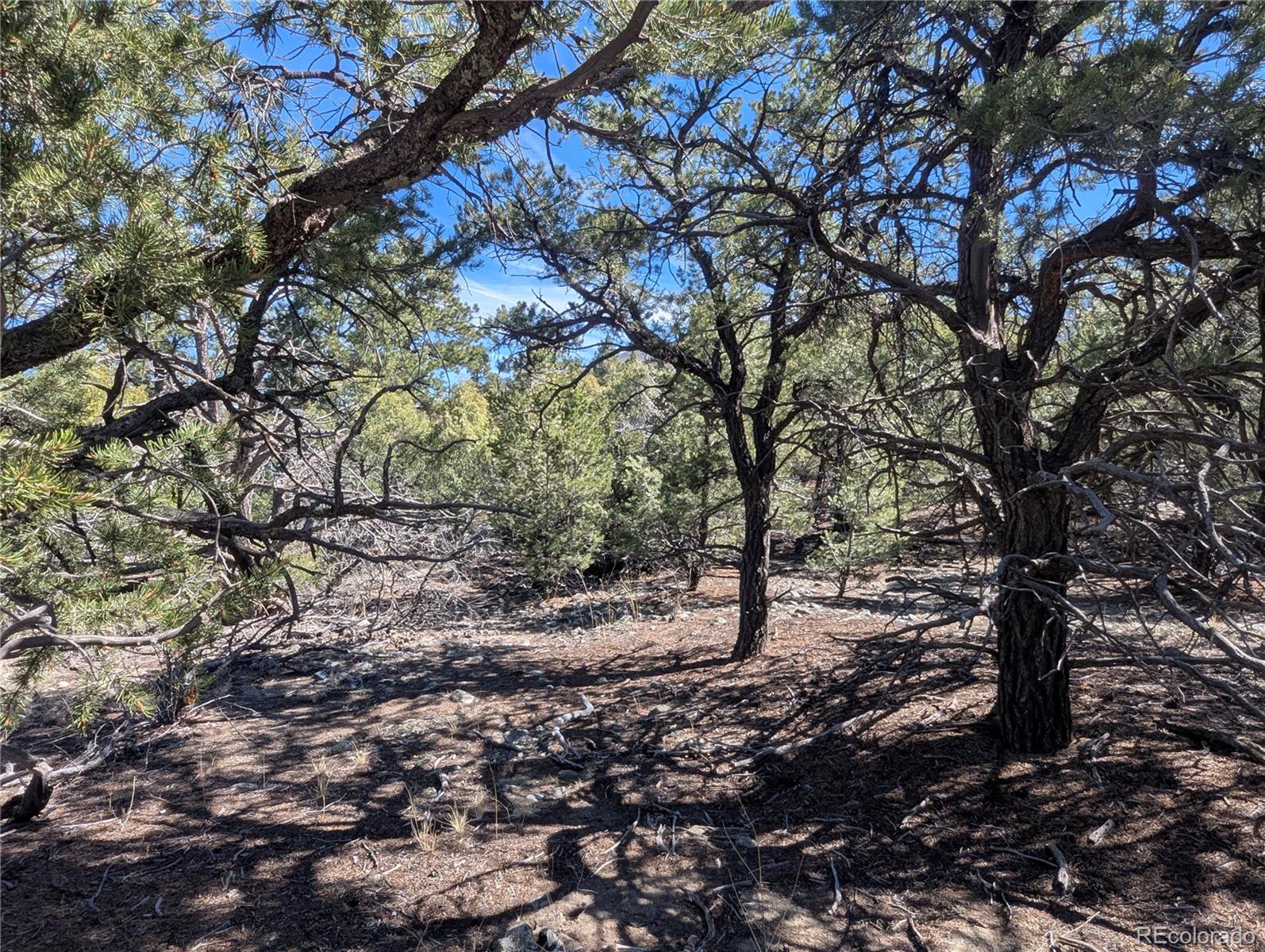 200 Mill Run Road Mosca CO 81146