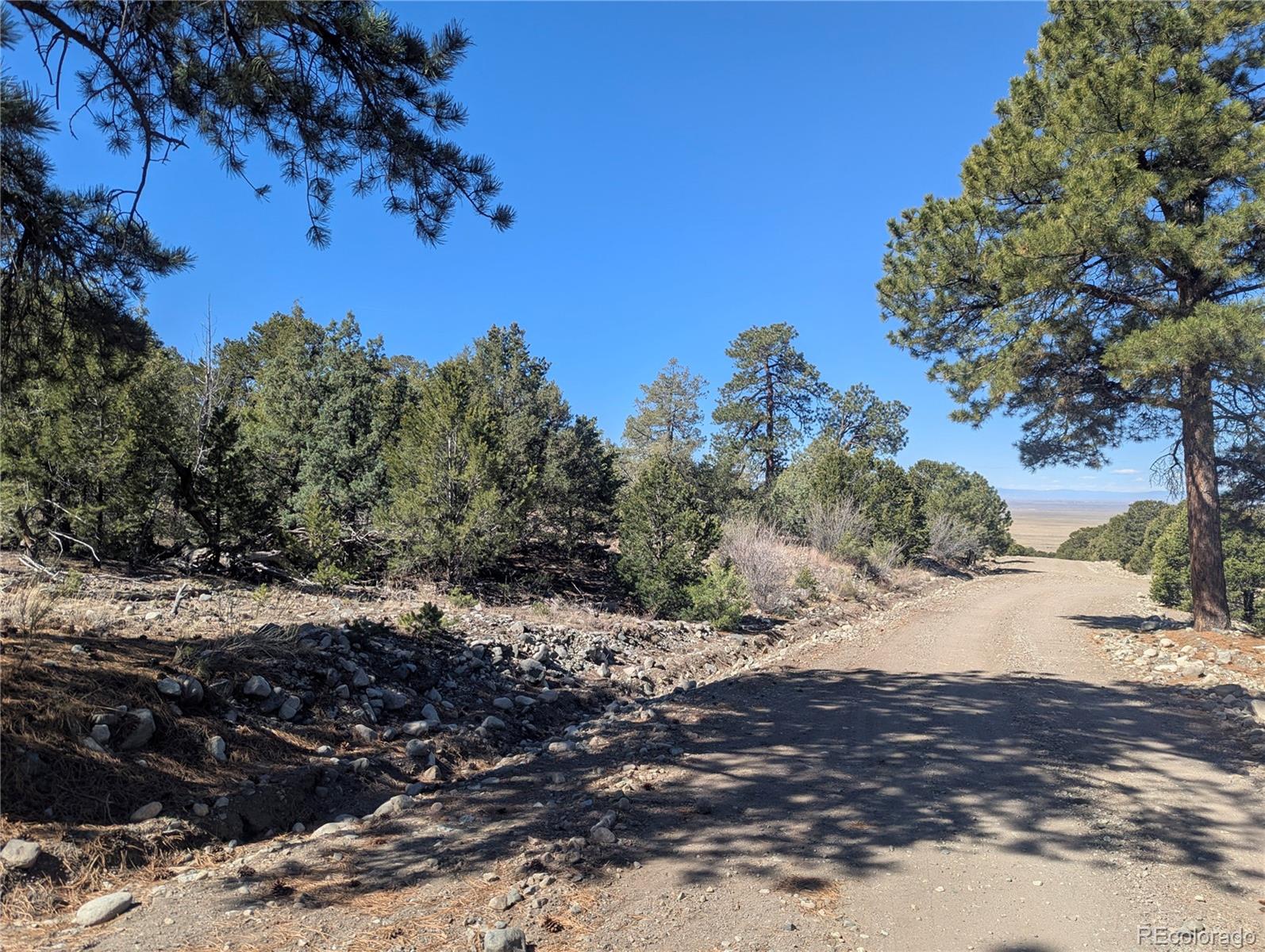 200 Mill Run Road Mosca CO 81146