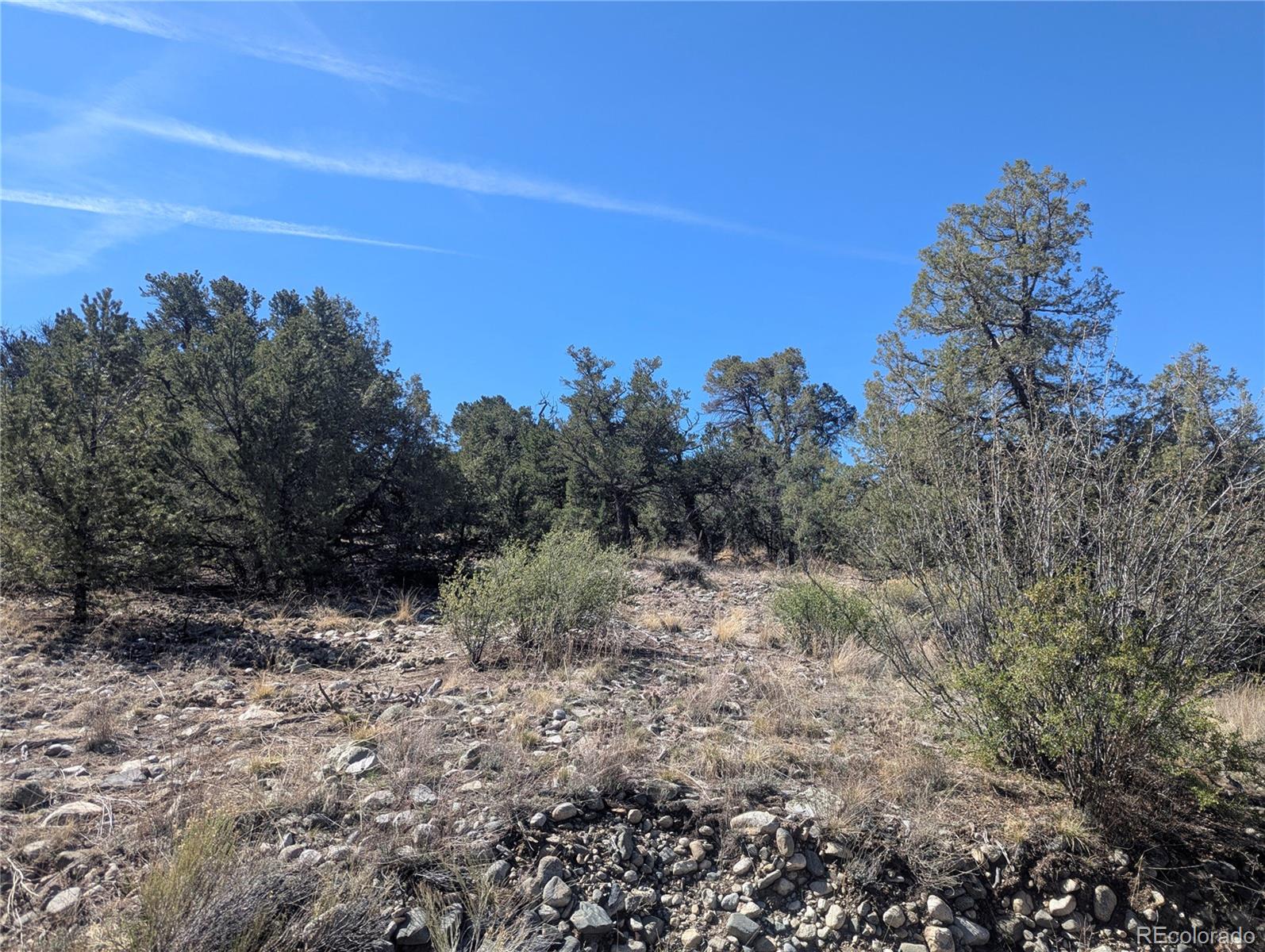 200 Mill Run Road Mosca CO 81146