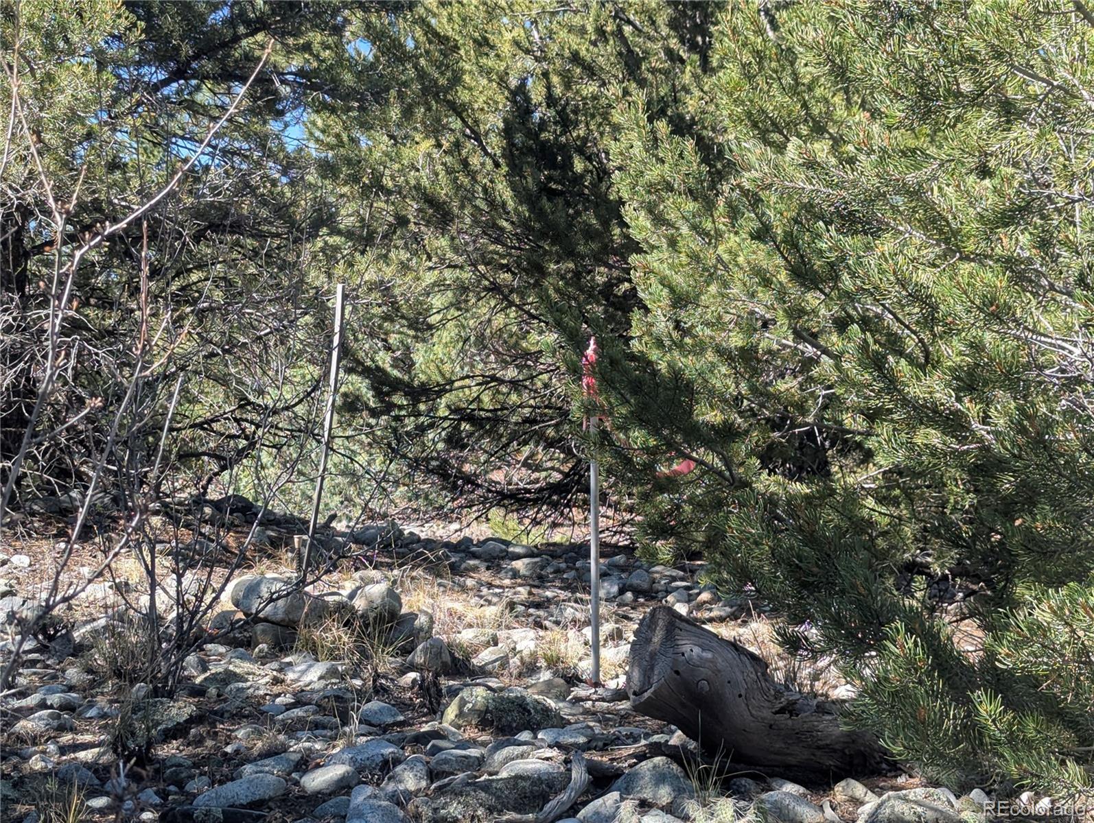 200 Mill Run Road Mosca CO 81146