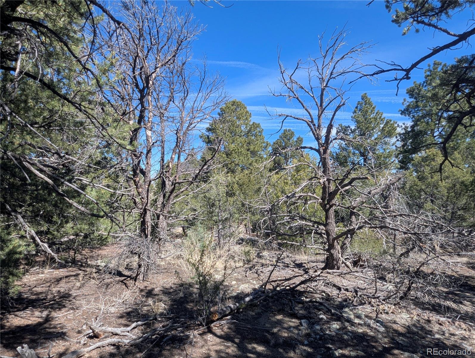 200 Mill Run Road Mosca CO 81146