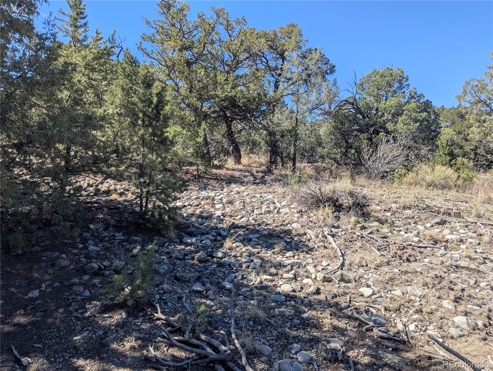 200 Mill Run Road Mosca CO 81146