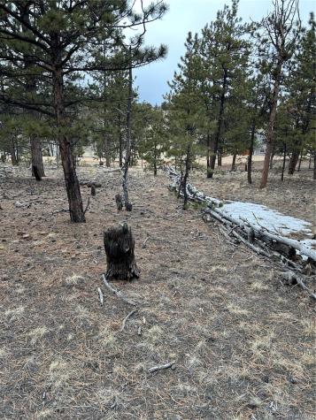 2146 Wagon Wheel Road Hartsel CO 80449