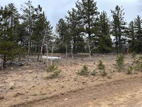 2146 Wagon Wheel Road Hartsel CO 80449