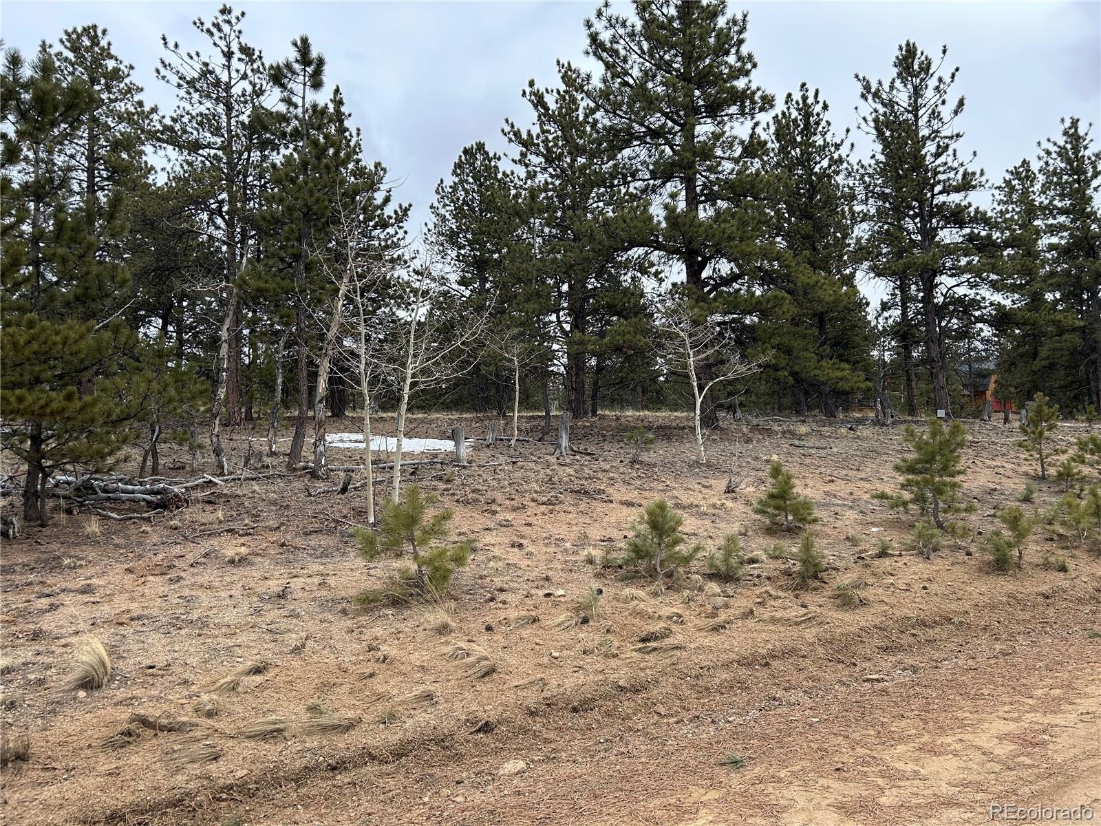 2146 Wagon Wheel Road Hartsel CO 80449