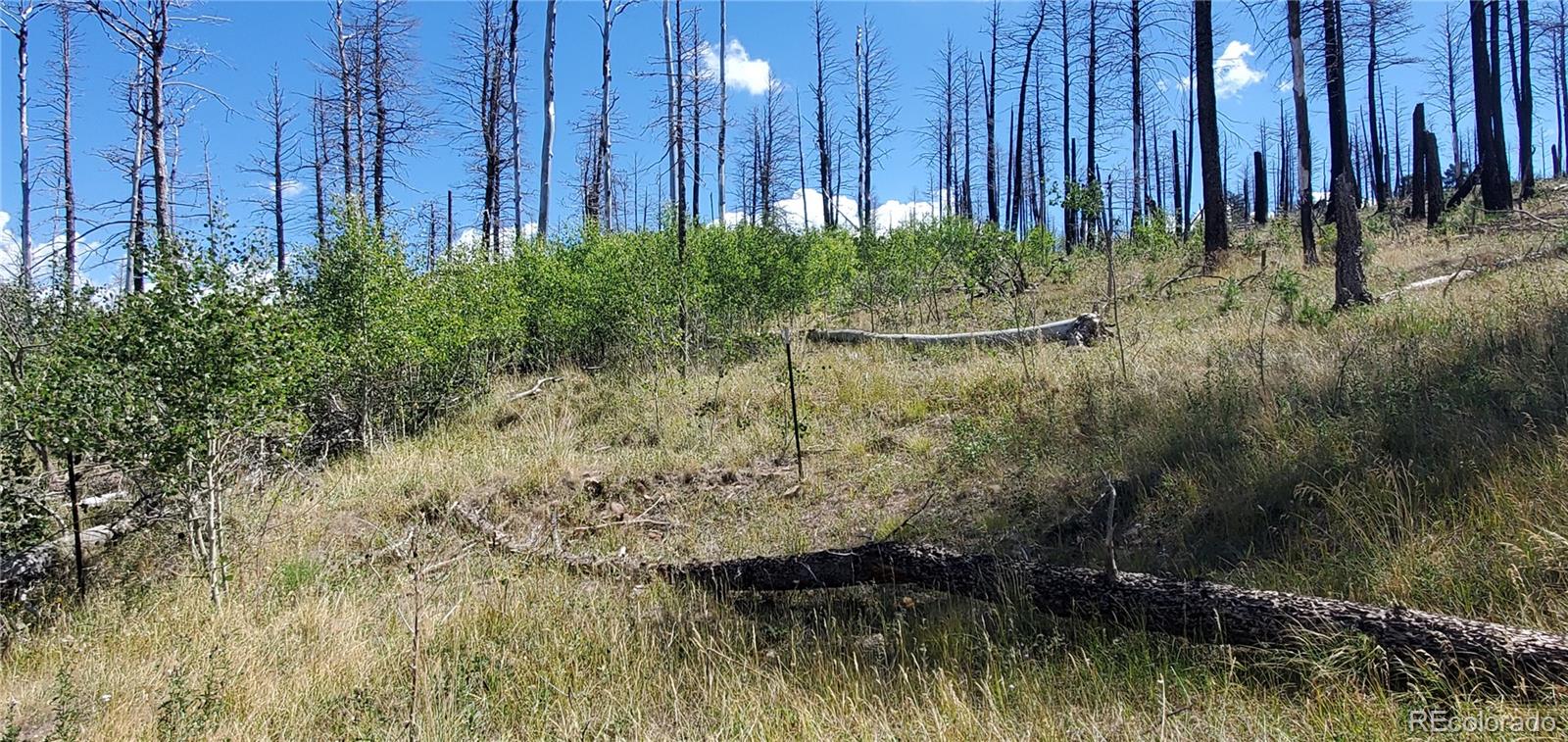 Lot 1064 Reed Lane Fort Garland CO 81133
