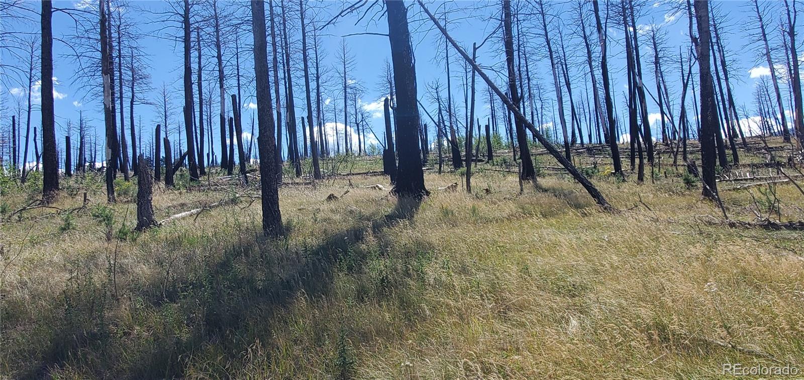Lot 1064 Reed Lane Fort Garland CO 81133