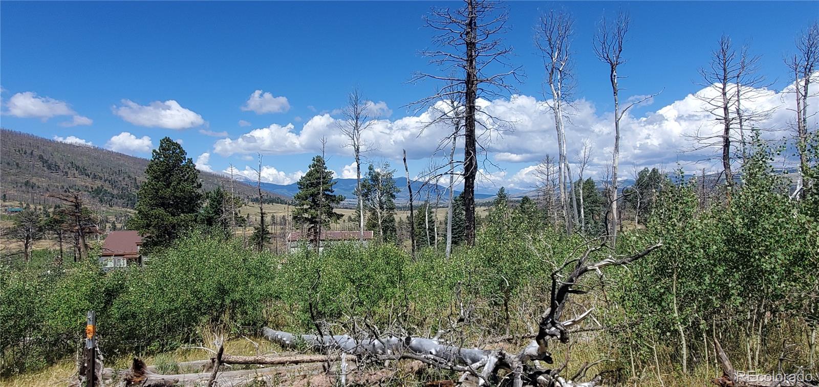 Lot 1064 Reed Lane Fort Garland CO 81133