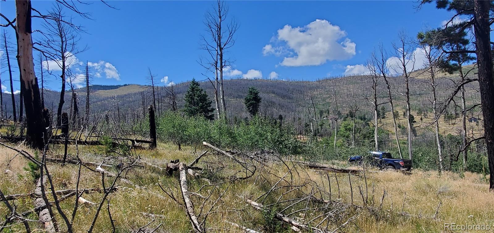 Lot 1064 Reed Lane Fort Garland CO 81133