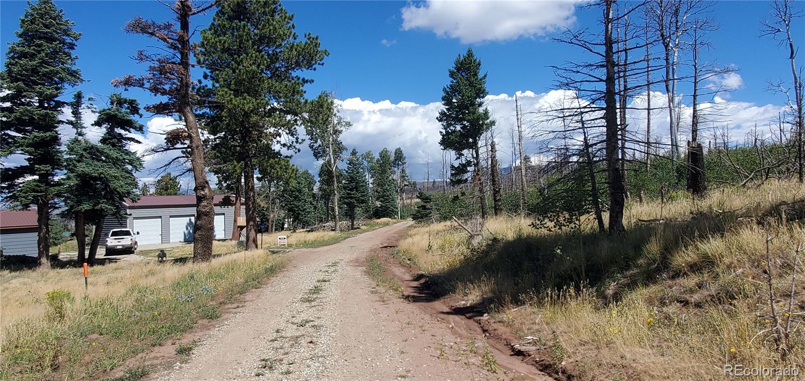 Lot 1064 Reed Lane Fort Garland CO 81133