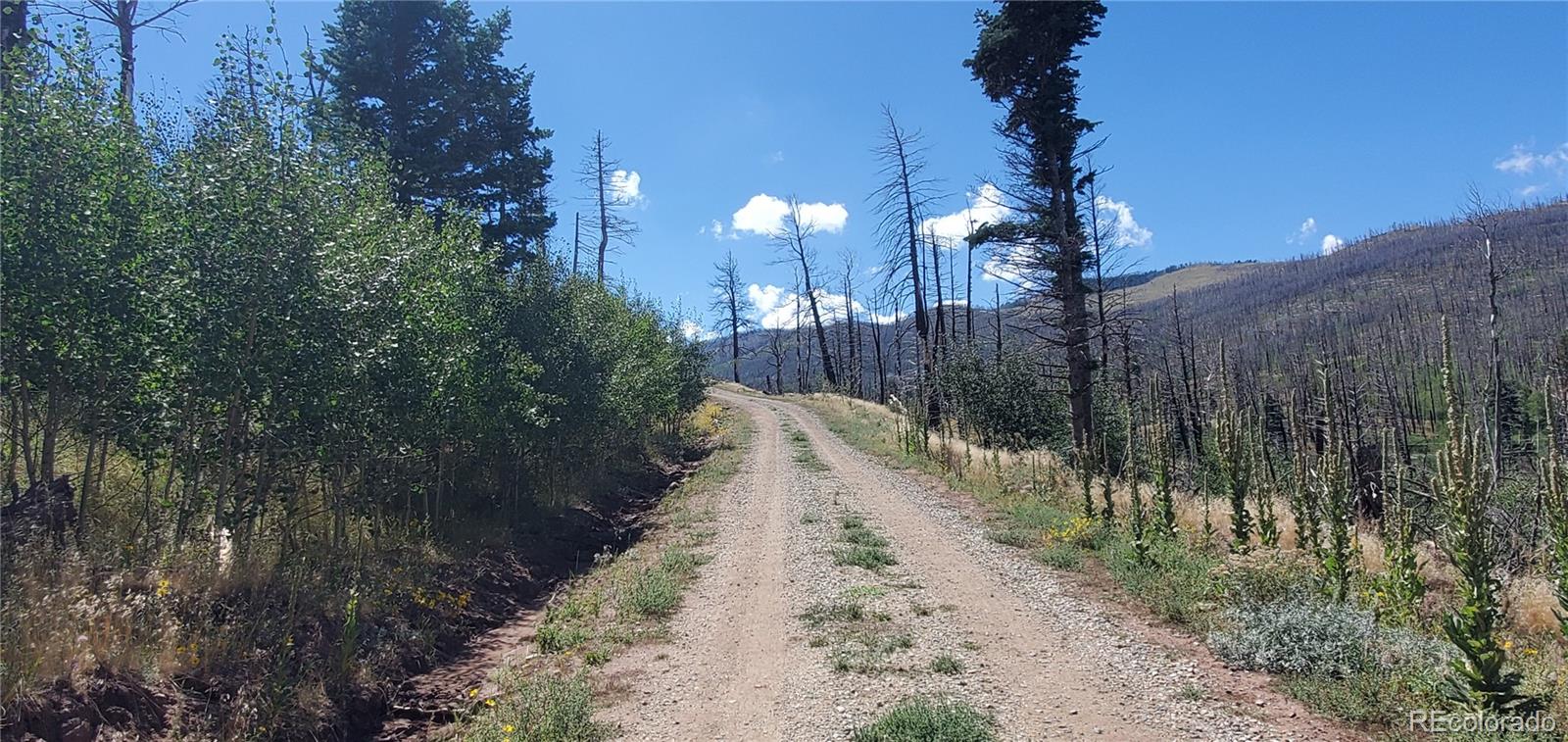 Lot 1064 Reed Lane Fort Garland CO 81133