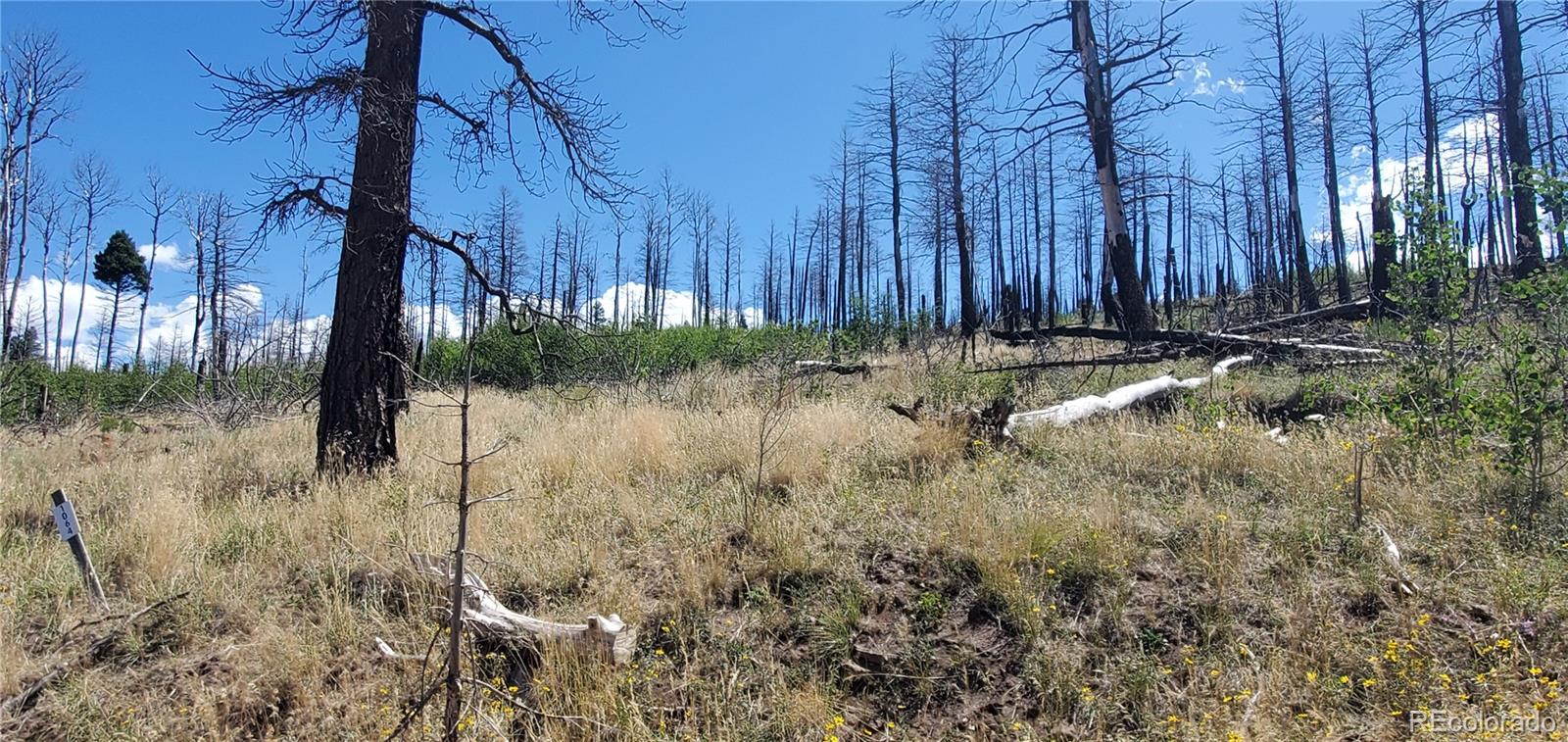 Lot 1064 Reed Lane Fort Garland CO 81133