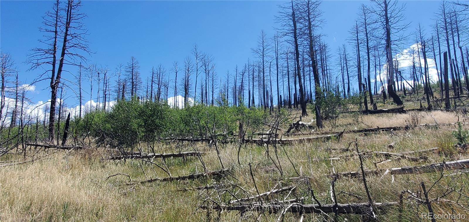 Lot 1064 Reed Lane Fort Garland CO 81133