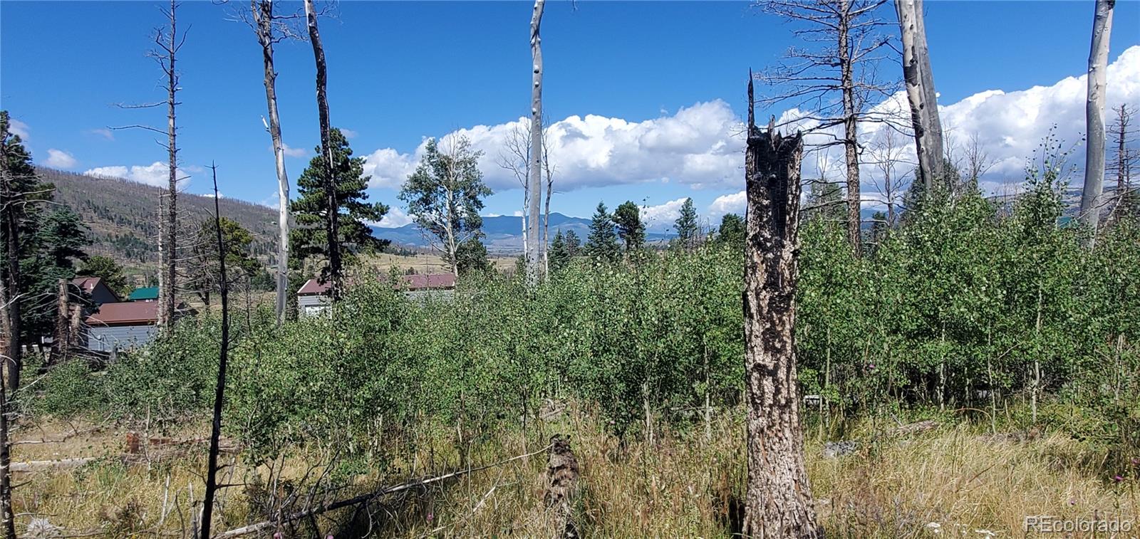 Lot 1064 Reed Lane Fort Garland CO 81133