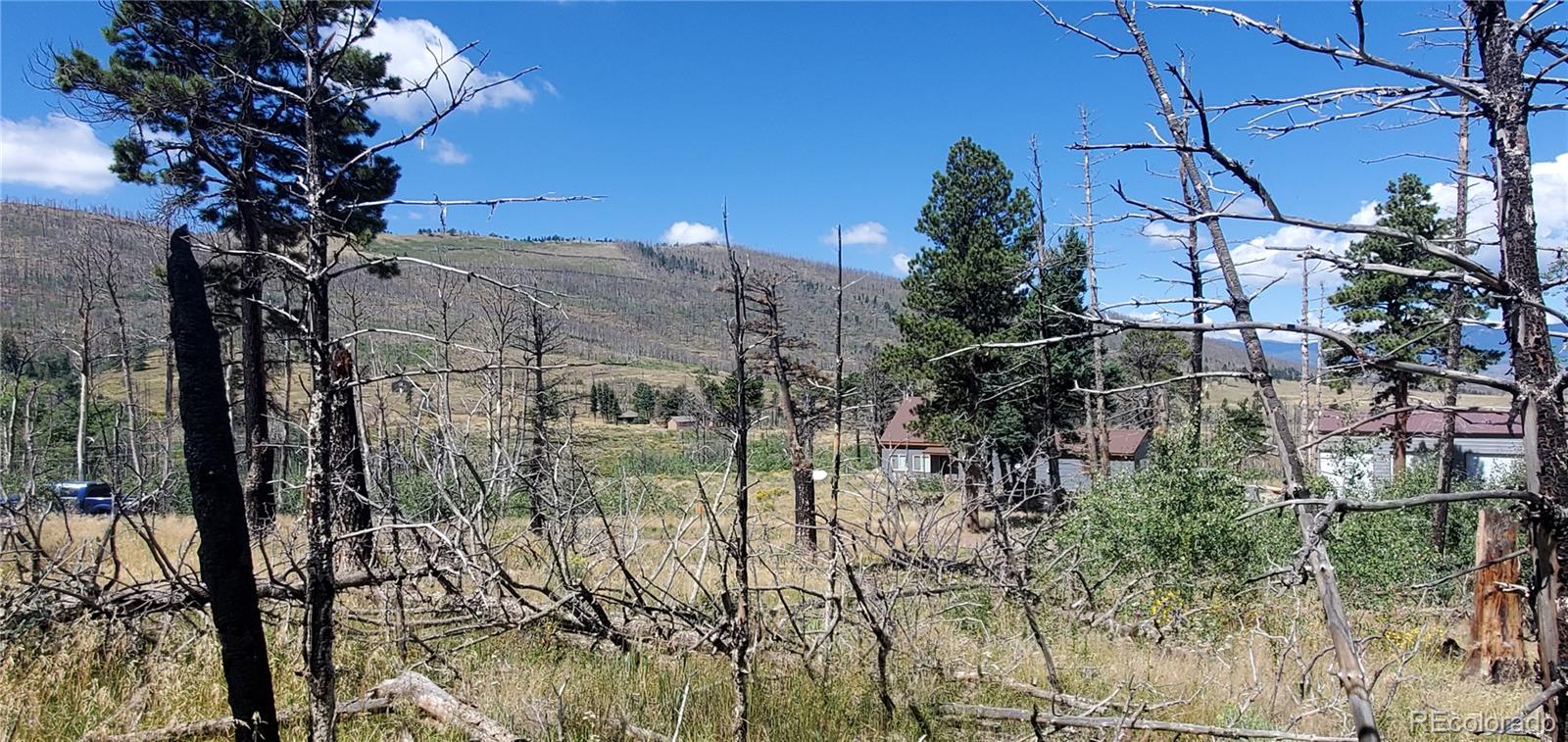Lot 1064 Reed Lane Fort Garland CO 81133