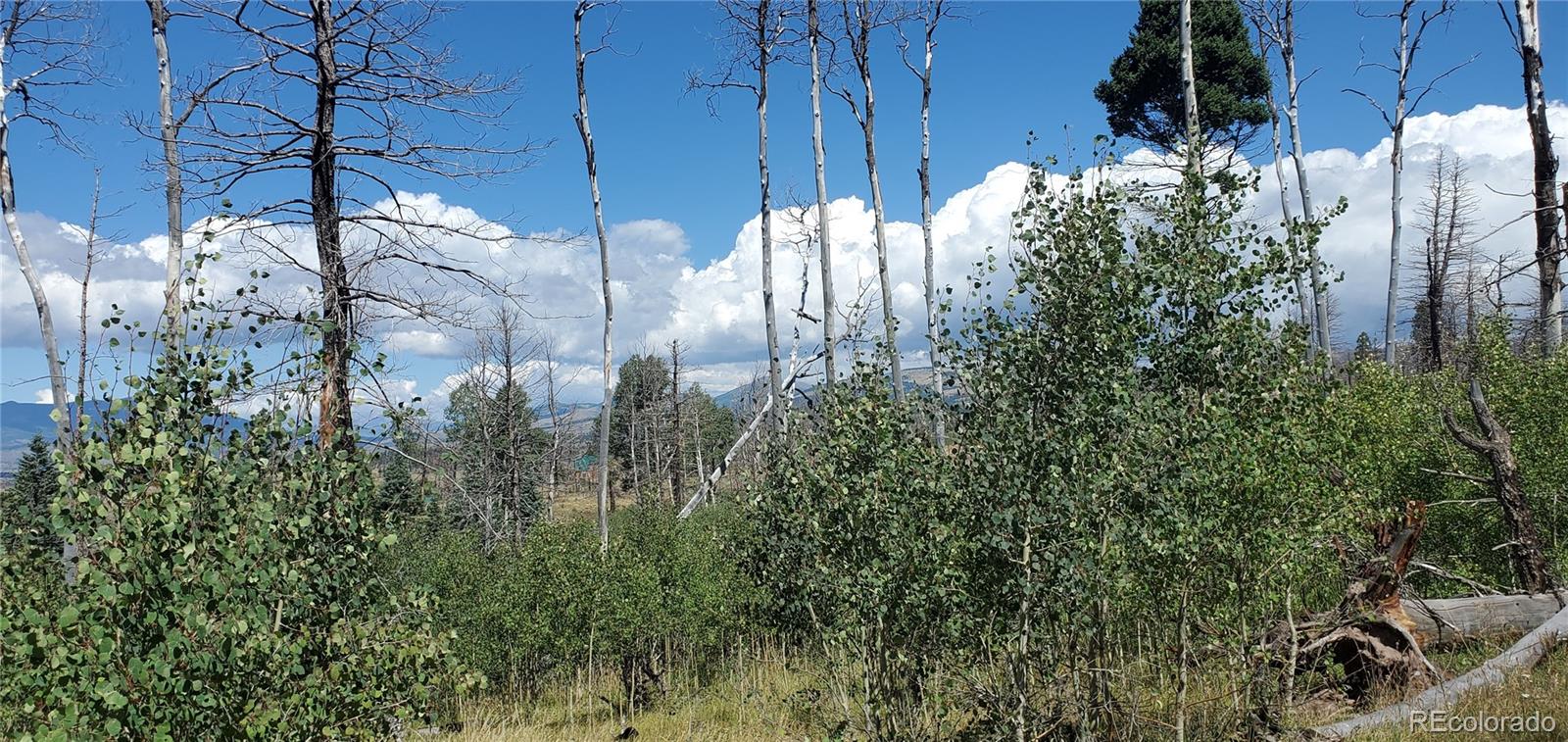 Lot 1064 Reed Lane Fort Garland CO 81133
