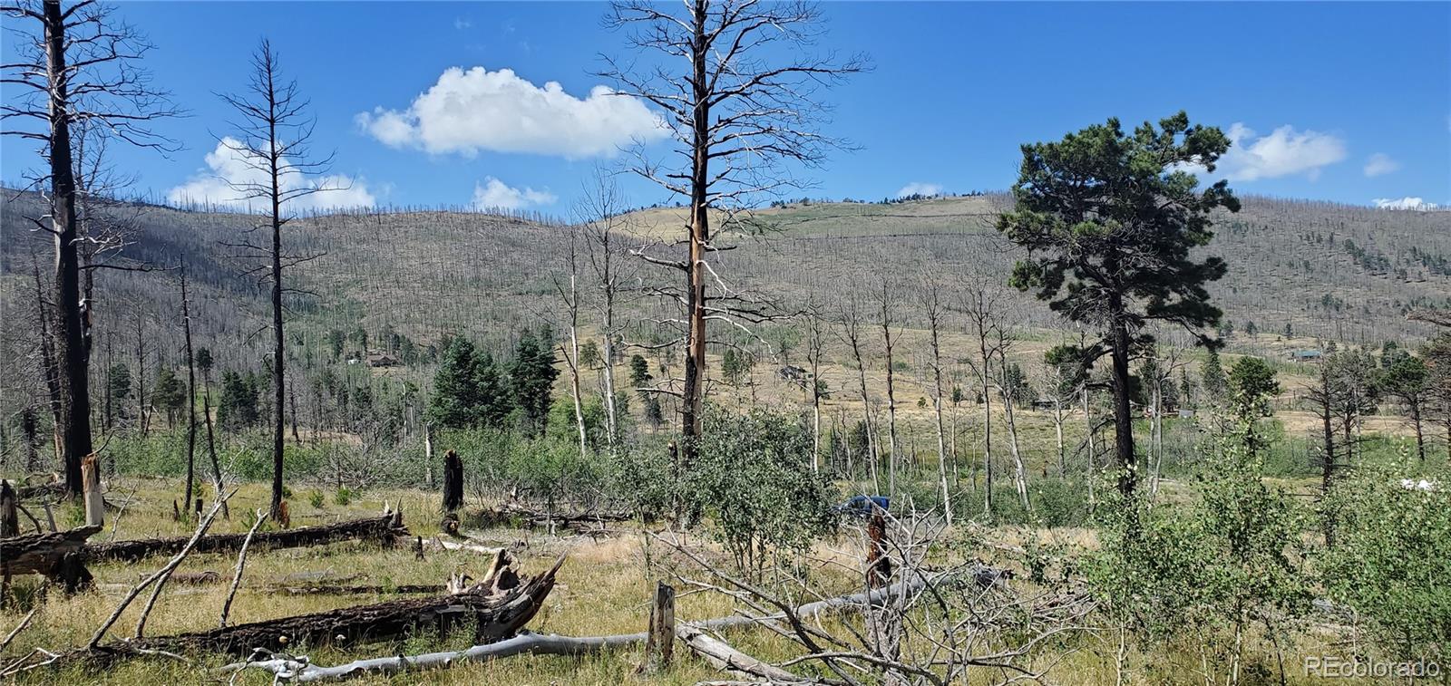 Lot 1064 Reed Lane Fort Garland CO 81133
