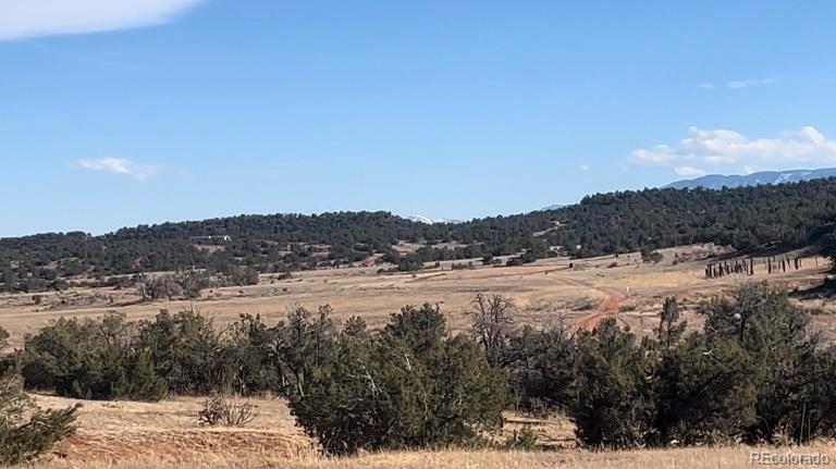 Lot 10 Rice Mountain Way Canon City CO 81215