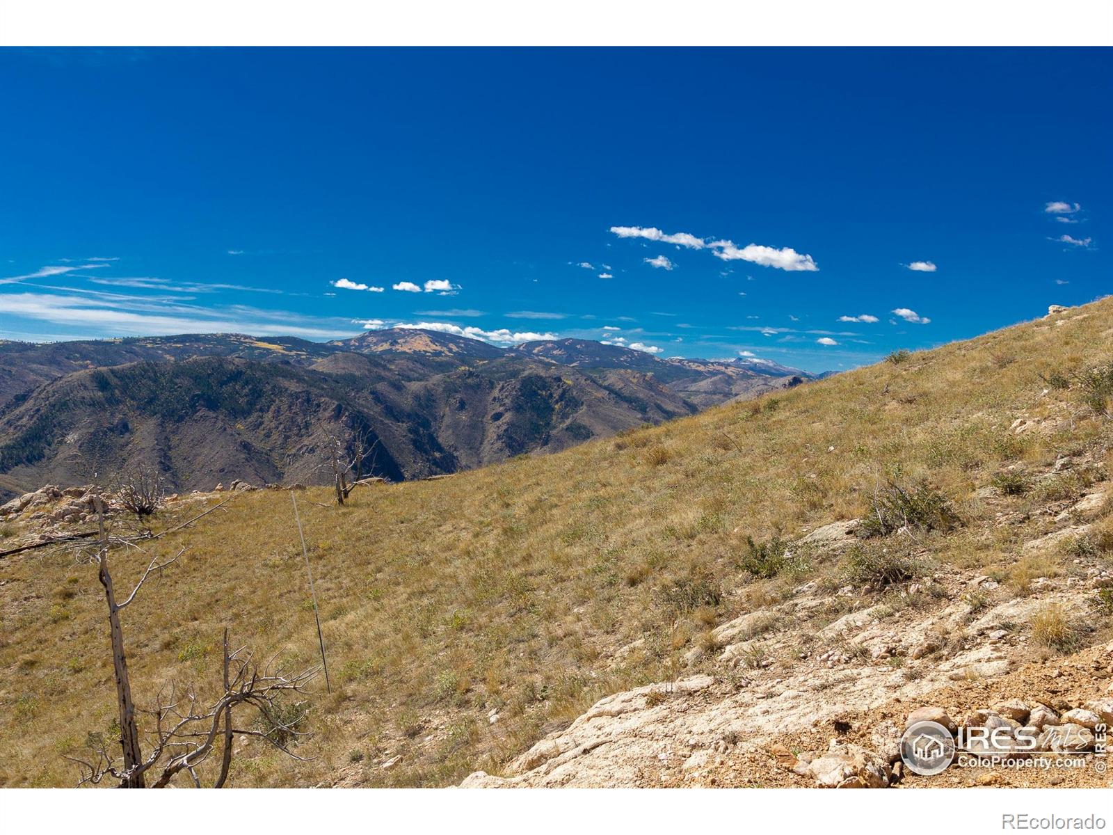 45 Bull Rock Court Livermore CO 80536