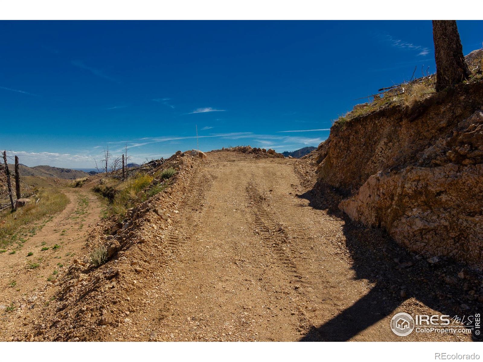 45 Bull Rock Court Livermore CO 80536