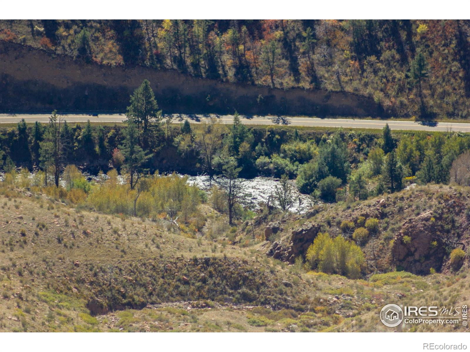 45 Bull Rock Court Livermore CO 80536