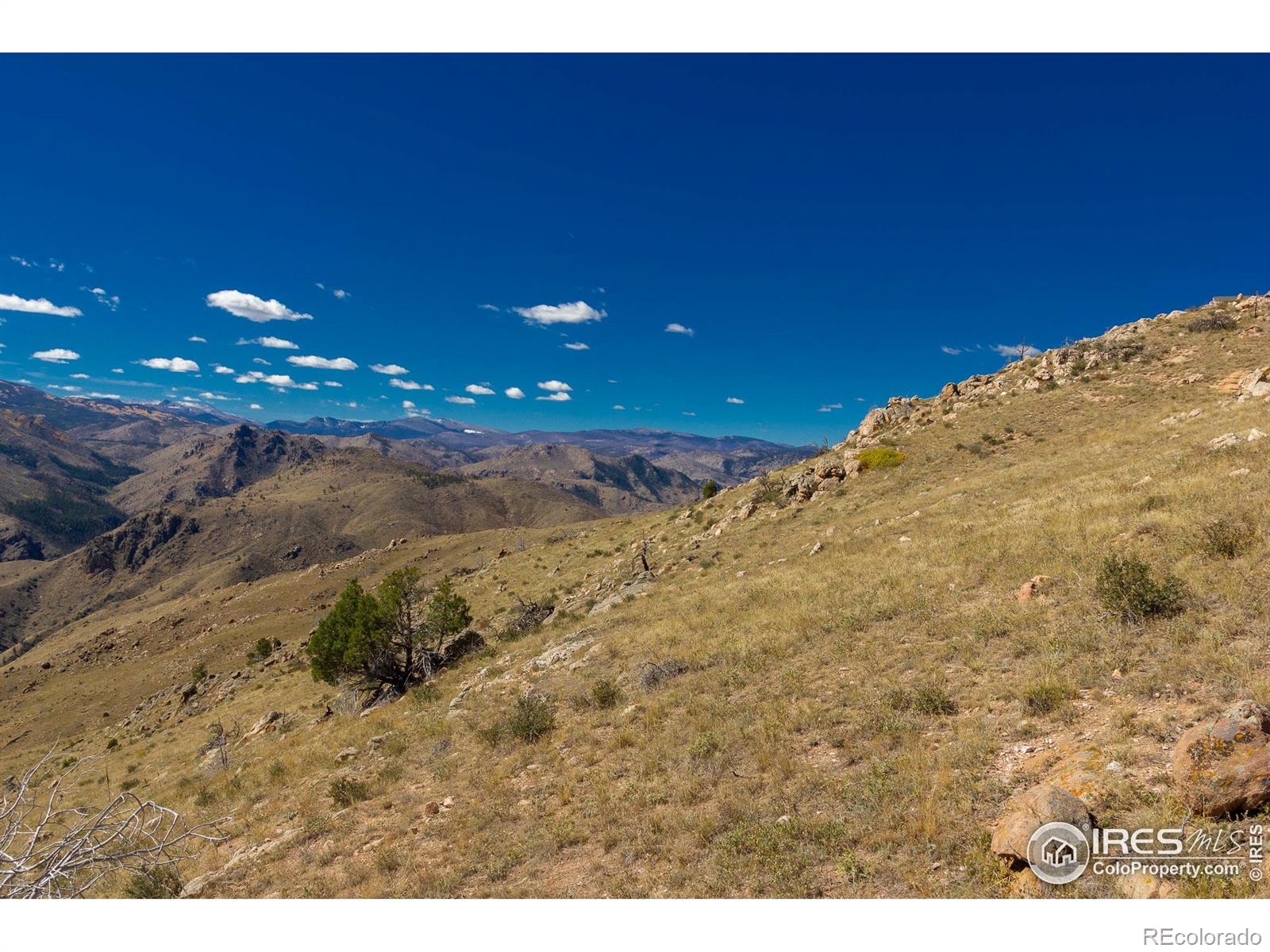 45 Bull Rock Court Livermore CO 80536