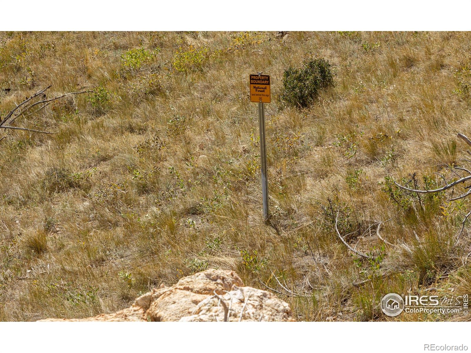 45 Bull Rock Court Livermore CO 80536