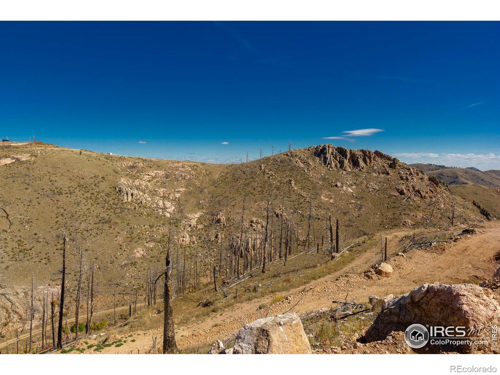45 Bull Rock Court Livermore CO 80536