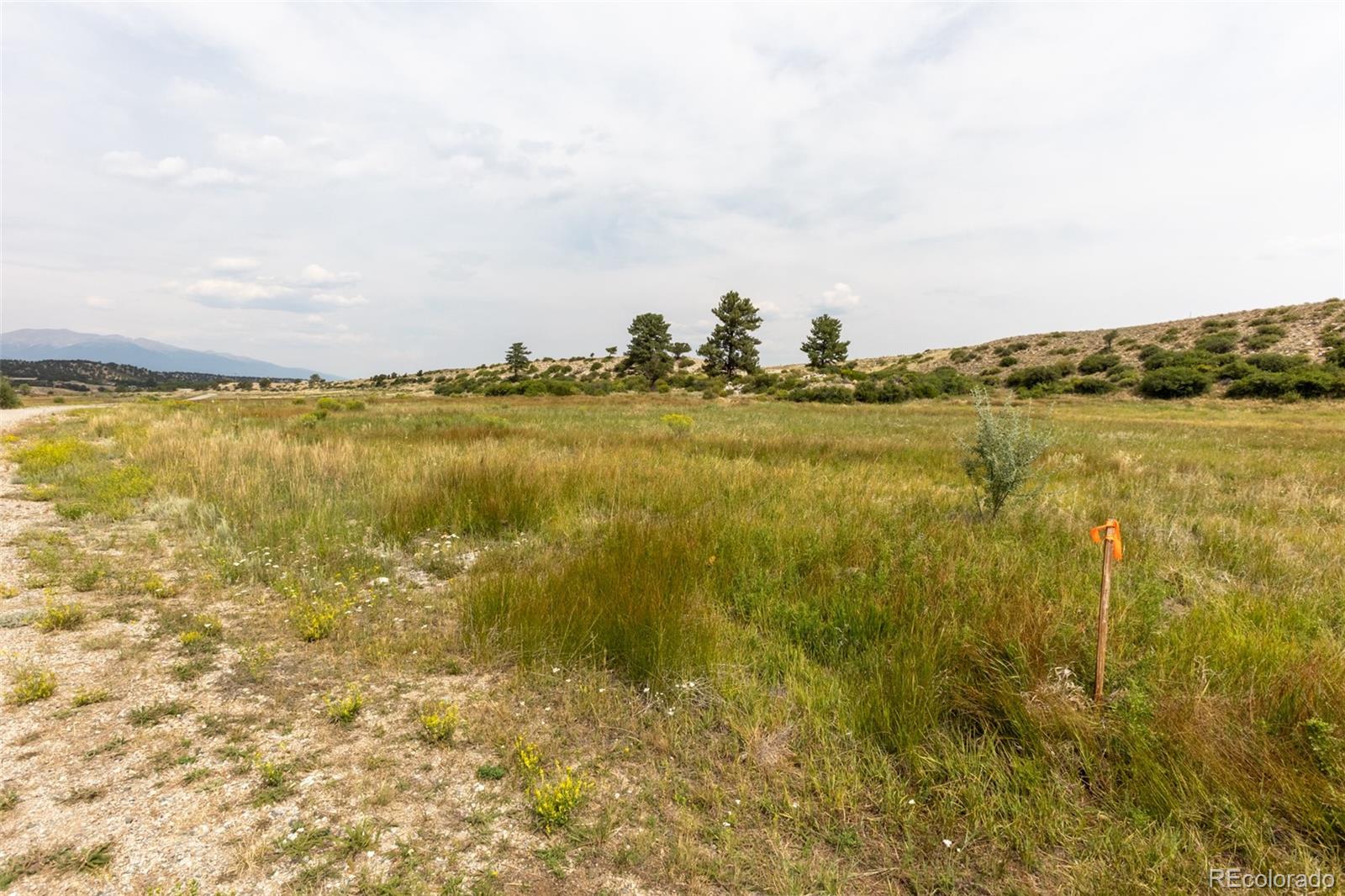 24230 River Rock Lane Buena Vista CO 81211