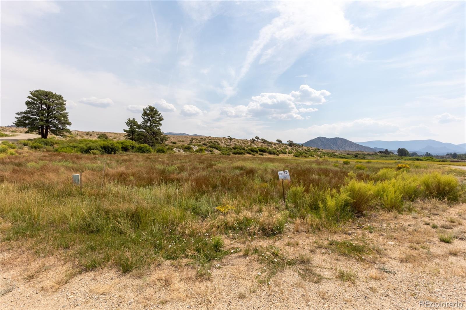 24230 River Rock Lane Buena Vista CO 81211