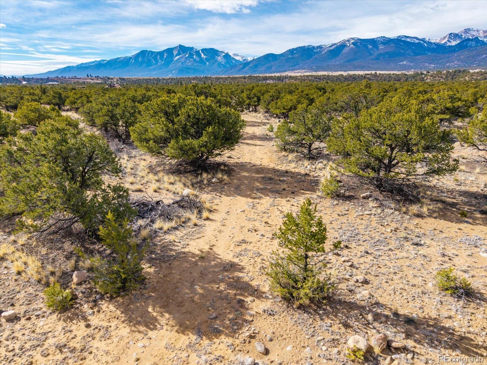 33071 County Road 371 Buena Vista CO 81211