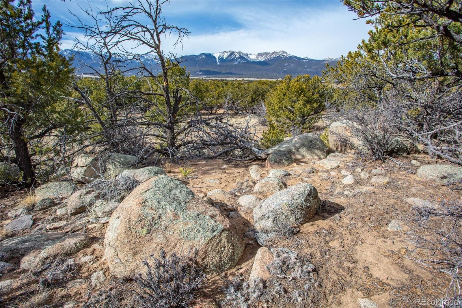33071 County Road 371 Buena Vista CO 81211