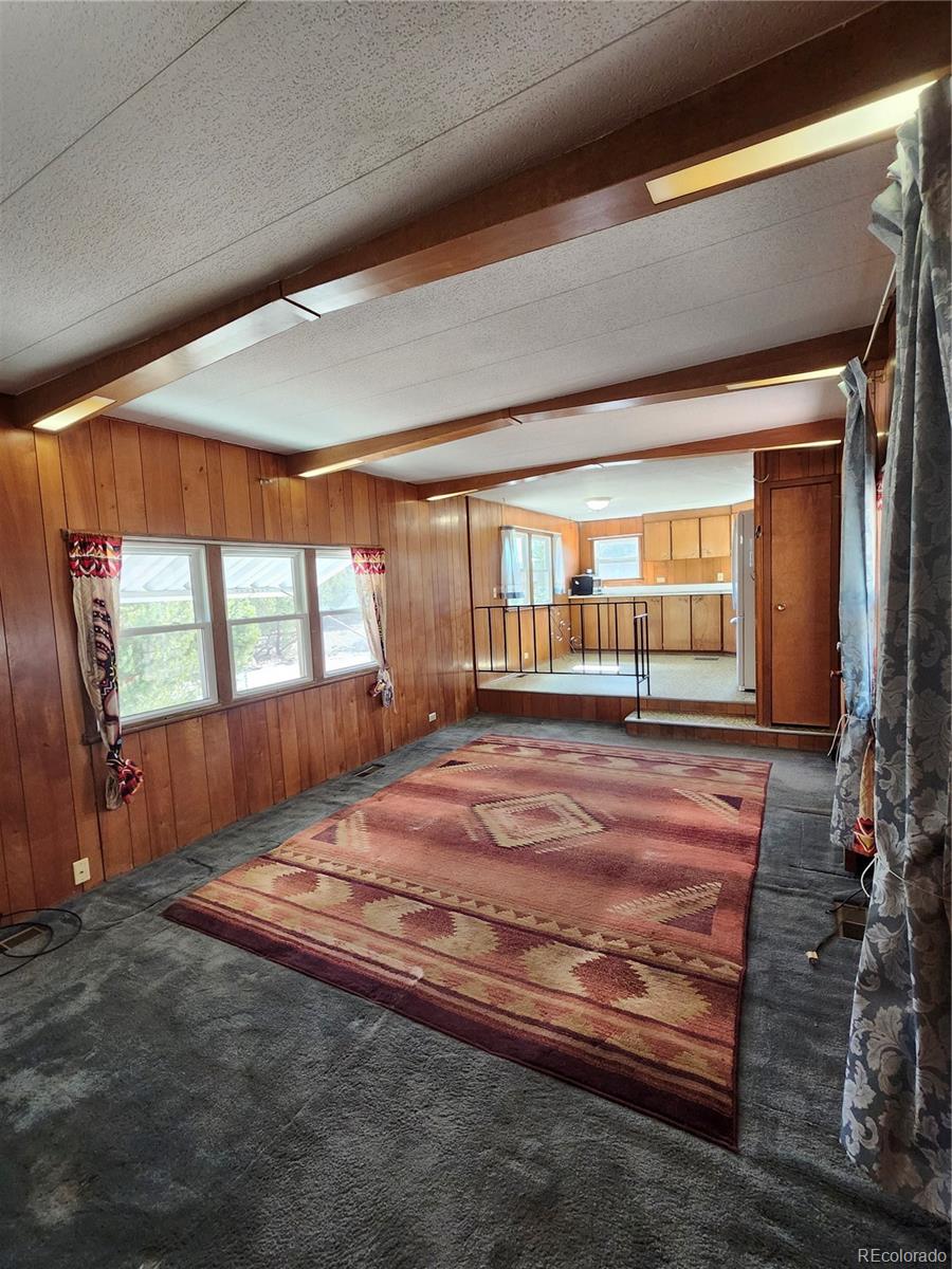 33071 County Road 371 Buena Vista CO 81211