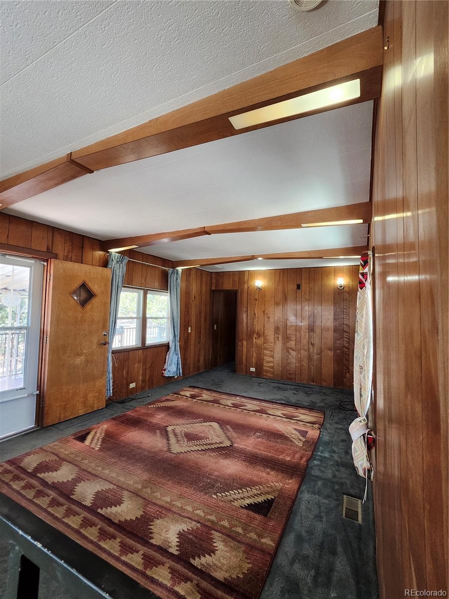 33071 County Road 371 Buena Vista CO 81211