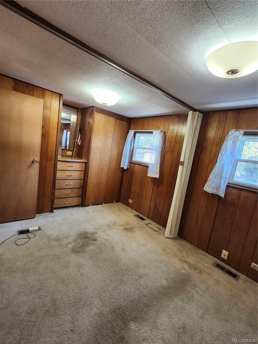 33071 County Road 371 Buena Vista CO 81211