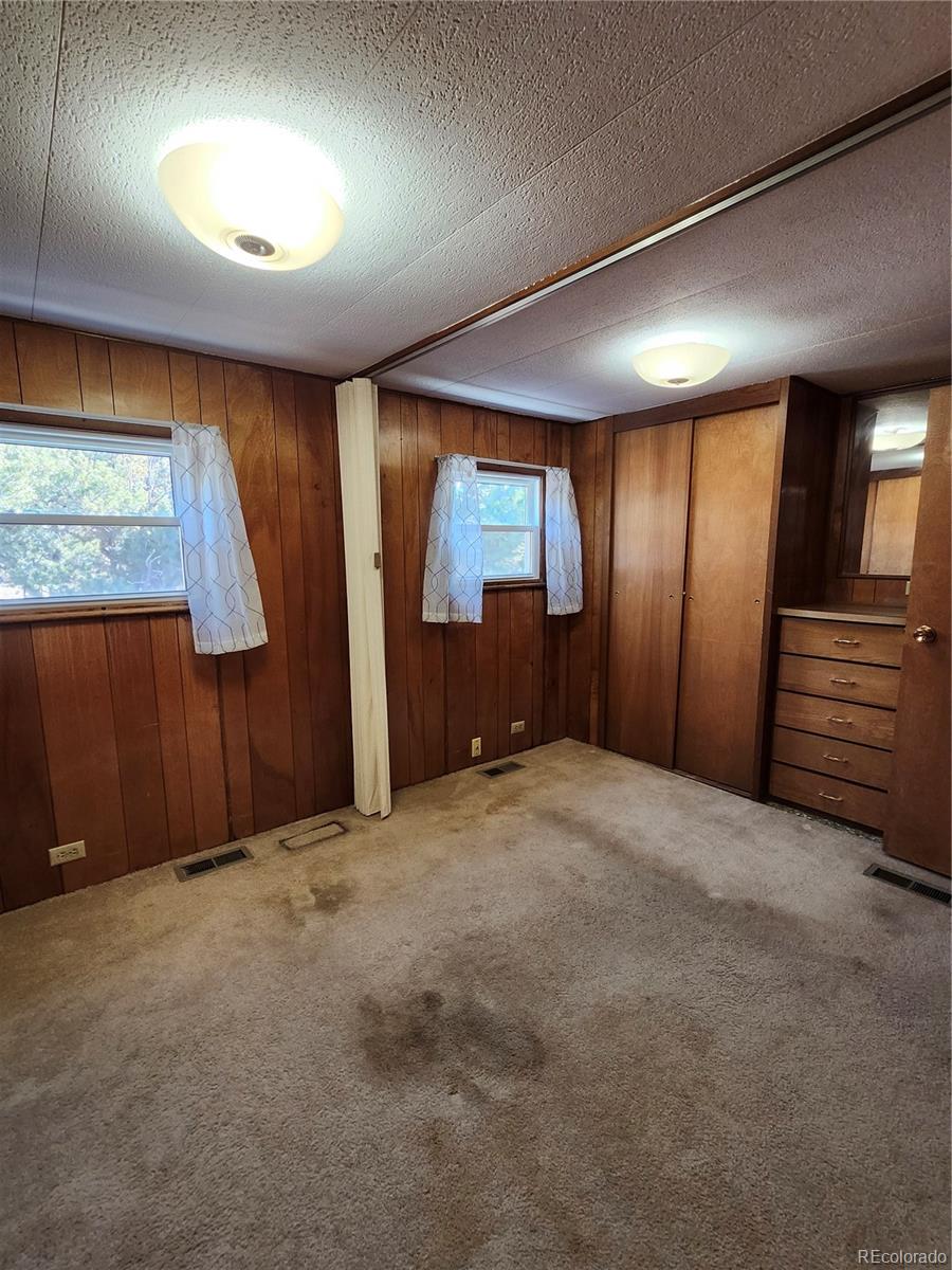 33071 County Road 371 Buena Vista CO 81211