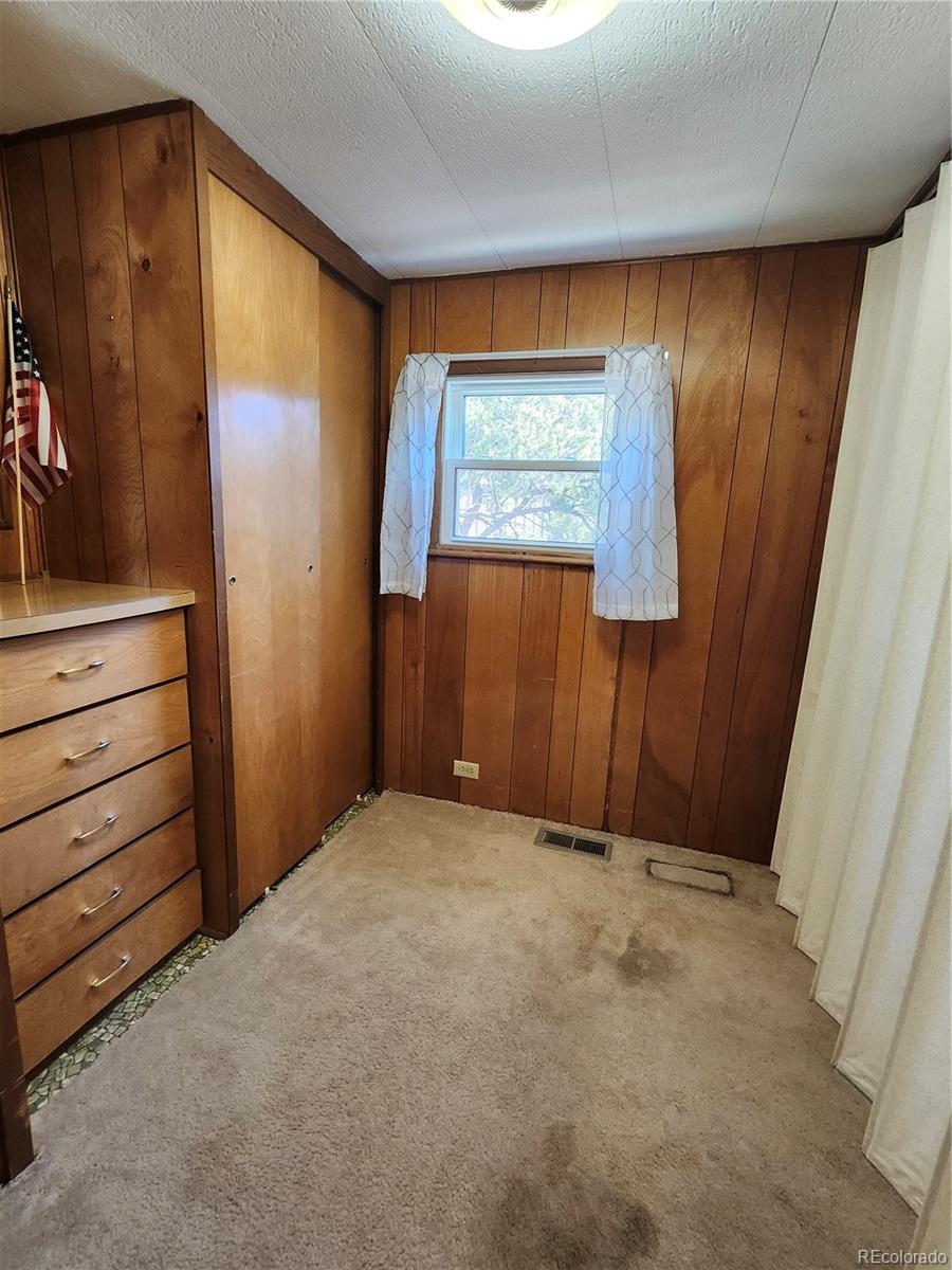 33071 County Road 371 Buena Vista CO 81211
