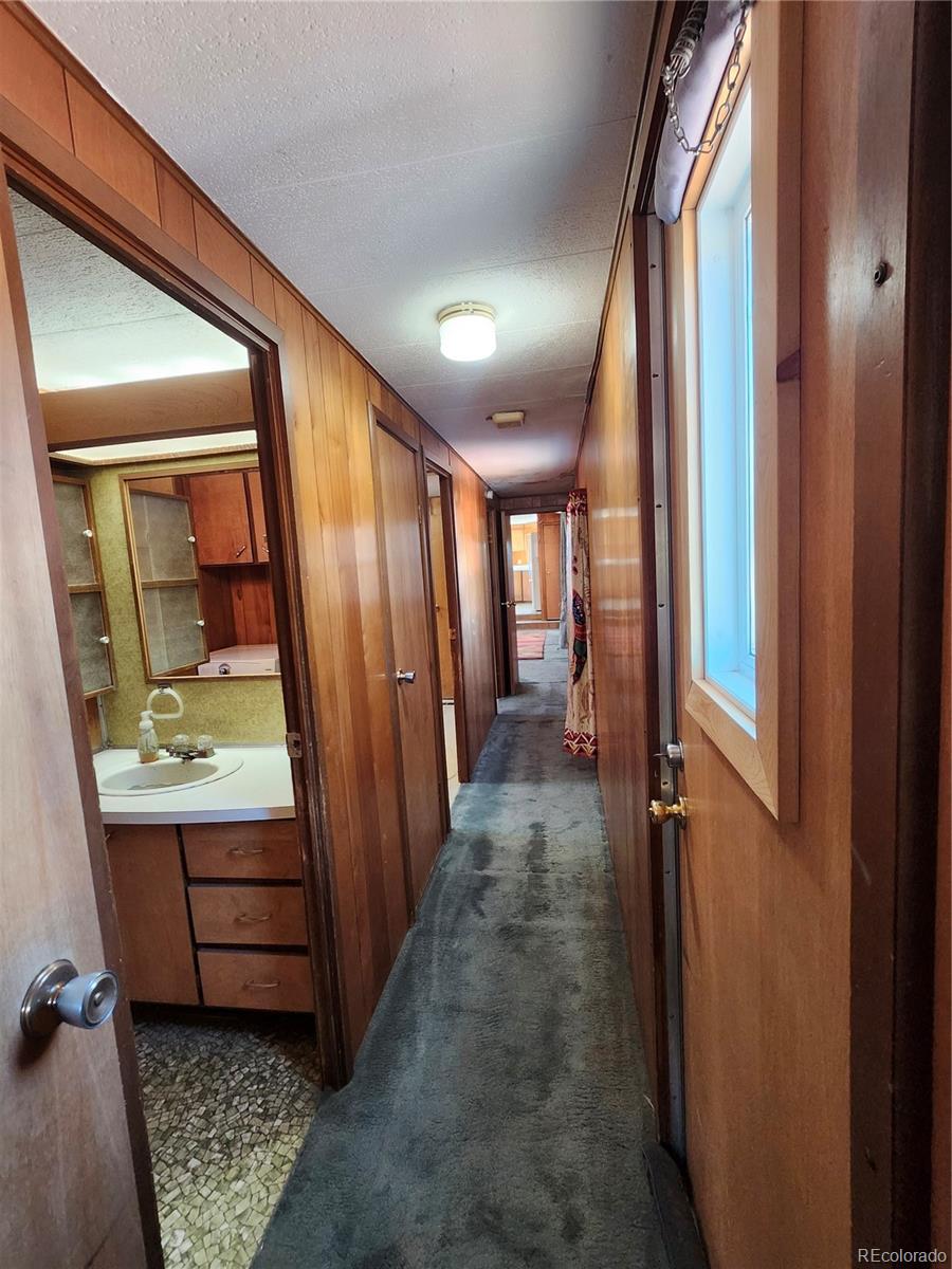 33071 County Road 371 Buena Vista CO 81211