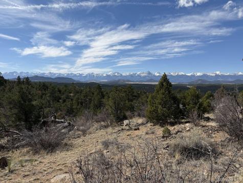000 Redtail Trail Texas Creek CO 81223