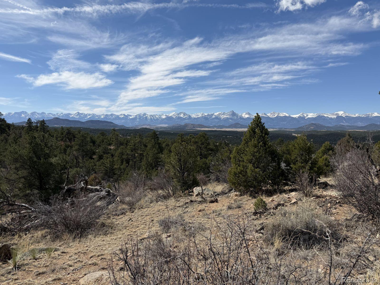 000 Redtail Trail Texas Creek CO 81223