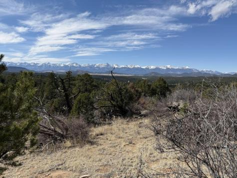 000 Redtail Trail Texas Creek CO 81223