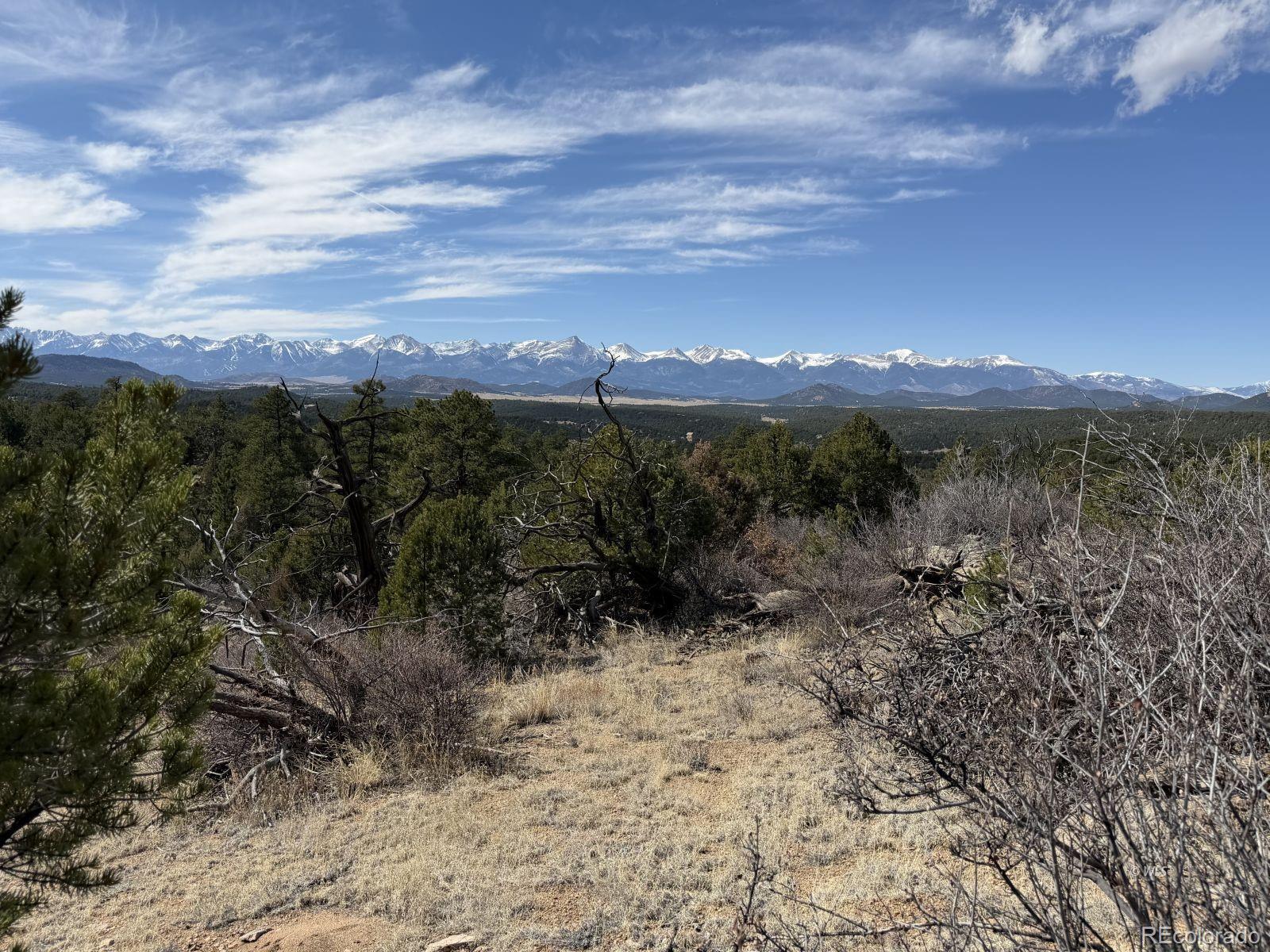 000 Redtail Trail Texas Creek CO 81223