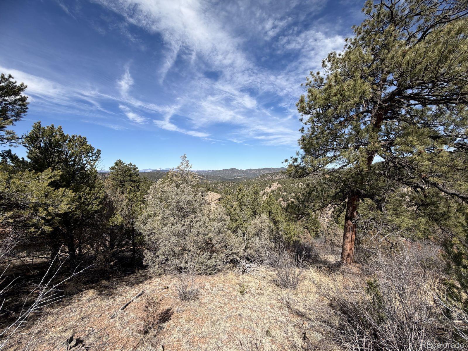 000 Redtail Trail Texas Creek CO 81223